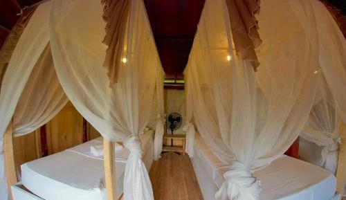 Single Bed in Mixed Dormitory Room
