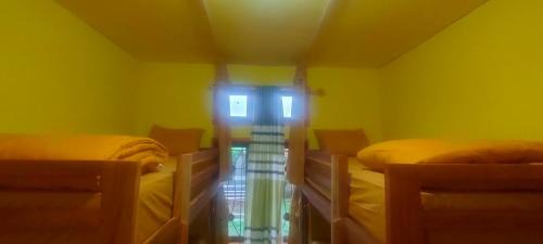 Bed in 4-Bed Mixed Dormitory Room