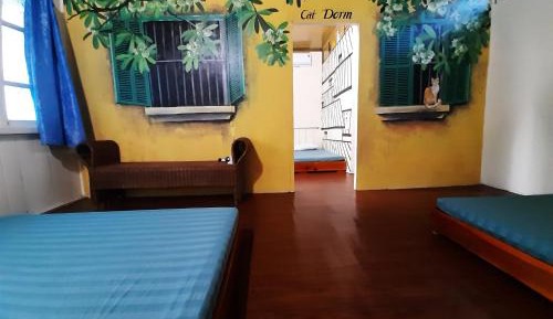 4-Bed Mixed Dormitory Room