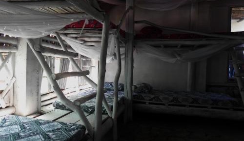 Bunk Bed in Mixed Dormitory Room