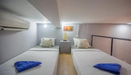 Standard Twin Duplex Room