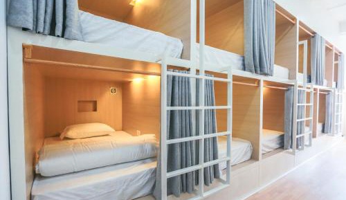 Bunk Bed in Mixed Dormitory Room