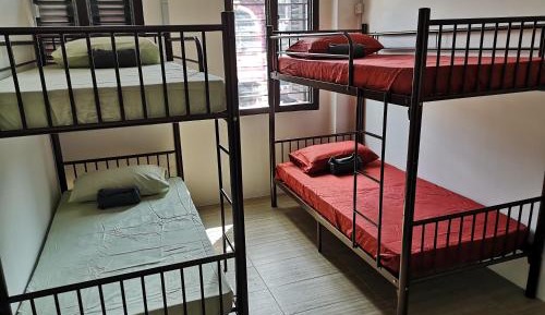 Bed in 4-Bed Mixed Dormitory Room