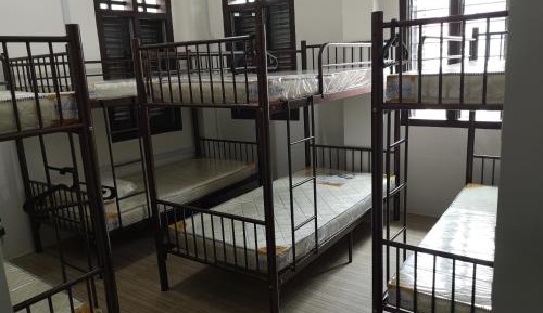 Bed in 8-Bed Mixed Dormitory Room