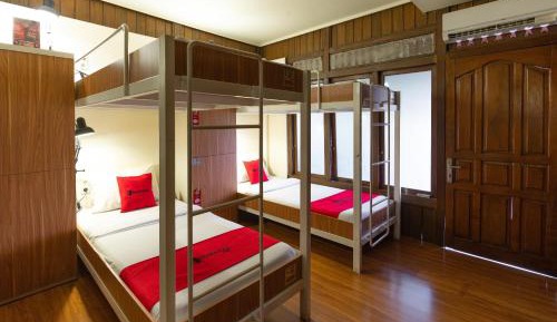 Bunk Bed in Male Dormitory Room 