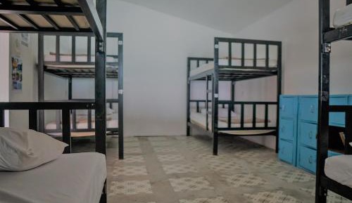 Bed in 8-Bed Mixed Dormitory Room