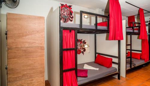 Bunk Bed in Mixed Dormitory Room