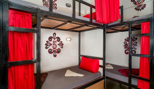 Bunk Bed in Mixed Dormitory Room