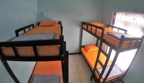 Bed in 4-Bed Dormitory Room