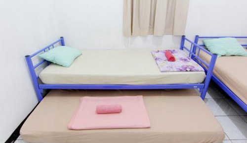 Bunk Bed in Mixed Dormitory Room