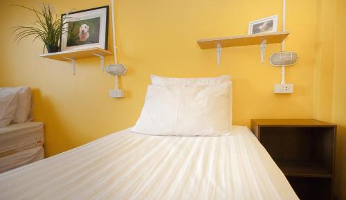 Bunk Bed in Mixed Dormitory Room
