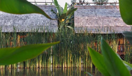 Bungalow with Pond View