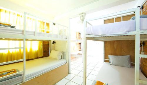 Single Bed in Mixed Dormitory Room
