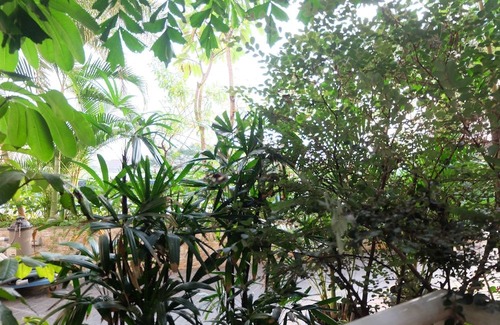 Cikarang Hotel | Elegant Studio Mustika Golf Residence Apartment
