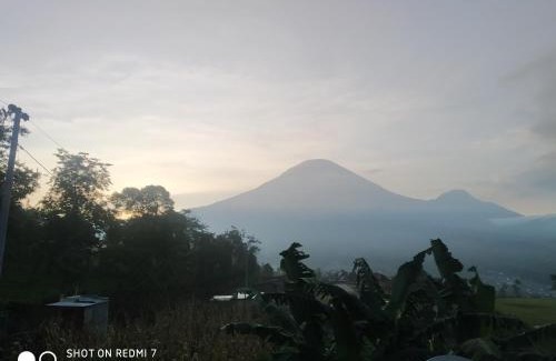 Wonosobo Villa | RR Homestay Seroja