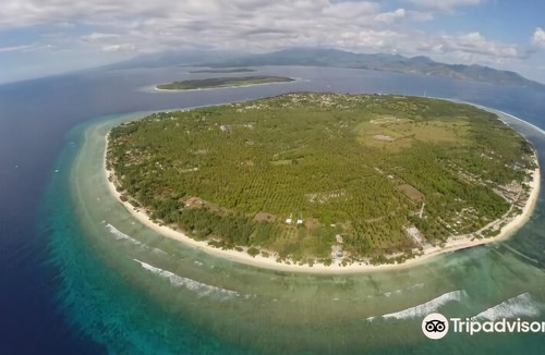 Gili Trawangan Hotel | Coconut Garden Resort