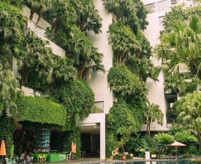 Ngoc Thanh Apartment | Flamingo Dai Lai Resort - Forest In The Sky Executive F220