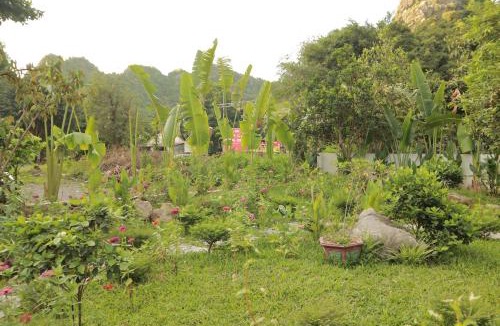 Hoa Lu Hotel | Trang An by Linh Homestay