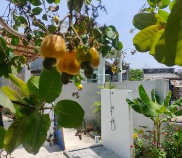 Ke Ga House | Mer Bleue Homestay Phòng Family