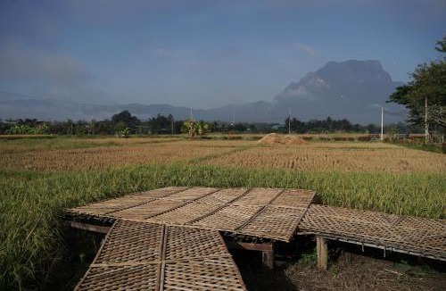 Chiang Dao House | Art House at Chiangdao - StarHouse