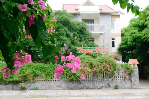 Tigon Villa