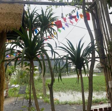 Big J hostel Tam Coc