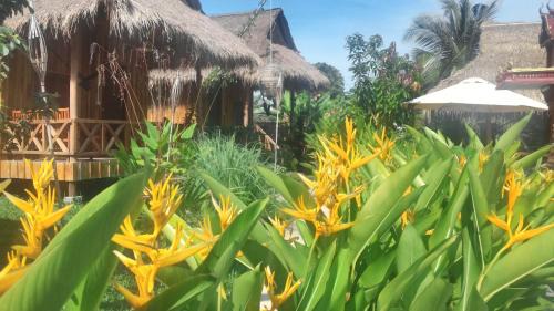 Bird Of Paradise Bungalows 